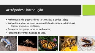 Artrópodes: Introdução
• Arthropoda: do grego arthros (articulado) e podos (pés);
• Muito rico e diverso (mais de um milhão de espécies descritas);
• Insetos, aracnídeos, crustáceos.
• Presentes em quase todos os ambientes;
• Possuem diferentes hábitos de vida.
 