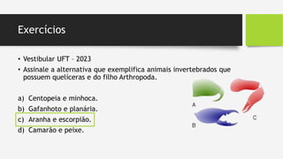Exercícios
• Vestibular UFT – 2023
• Assinale a alternativa que exemplifica animais invertebrados que
possuem quelíceras e do filho Arthropoda.
a) Centopeia e minhoca.
b) Gafanhoto e planária.
c) Aranha e escorpião.
d) Camarão e peixe.
 