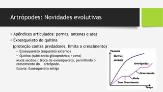 Artrópodes: Novidades evolutivas
• Apêndices articulados: pernas, antenas e asas
• Exoesqueleto de quitina
(proteção contra predadores, limita o crescimento)
• Exoesqueleto (esqueleto externo)
• Quitina (substancia glicoproteica + cera)
Muda (ecdise): troca de exoesqueleto, permitindo o
crescimento do artrópode.
Exúvia: Exoesqueleto antigo
 