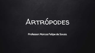 Artrópodes
Professor: Marcos Felipe de Souza.
 
