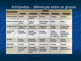 Artrópodes
Artrópodes - diferenças entre os gruposArtrópodes - diferenças entre os grupos
 