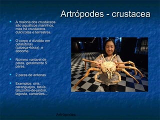 Artrópodes
Artrópodes - crustaceaArtrópodes - crustacea
 A maioria dos crustáceosA maioria dos crustáceos
são aquáticos marinhos,são aquáticos marinhos,
mas há crustáceosmas há crustáceos
dulcícolas e terrestres.dulcícolas e terrestres.
 O corpo é dividido emO corpo é dividido em
cefalotóraxcefalotórax
(cabeça+tórax) e(cabeça+tórax) e
abdome.abdome.
 Número variável deNúmero variável de
patas, geralmente 5patas, geralmente 5
pares.pares.
 2 pares de antenas2 pares de antenas
 Exemplos: siris,Exemplos: siris,
caranguejos, tatuís,caranguejos, tatuís,
tatuzinho-de-jardim,tatuzinho-de-jardim,
lagosta, camarões...lagosta, camarões...
 