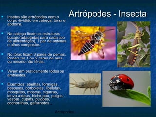 Artrópodes
Artrópodes - InsectaArtrópodes - Insecta Insetos são artrópodes com oInsetos são artrópodes com o
corpo dividido em cabeça, tórax ecorpo dividido em cabeça, tórax e
abdome.abdome.
 Na cabeça ficam as estruturasNa cabeça ficam as estruturas
bucais (adaptadas para cada tipobucais (adaptadas para cada tipo
de alimentação), 1 par de antenasde alimentação), 1 par de antenas
e olhos compostos.e olhos compostos.
 No tórax ficam 3 pares de pernas.No tórax ficam 3 pares de pernas.
Podem ter 1 ou 2 pares de asasPodem ter 1 ou 2 pares de asas
ou mesmo não tê-las.ou mesmo não tê-las.
 Vivem em praticamente todos osVivem em praticamente todos os
ambientes.ambientes.
 Exemplos: abelhas, formigas,Exemplos: abelhas, formigas,
besouros, borboletas, libélulas,besouros, borboletas, libélulas,
mosquitos, moscas, cigarras,mosquitos, moscas, cigarras,
louva-a-deus, bicho-pau, pulgas,louva-a-deus, bicho-pau, pulgas,
vespas, cupins, pulgões,vespas, cupins, pulgões,
cochonilhas, gafanhotos...cochonilhas, gafanhotos...
 