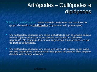 Artrópodes
Artrópodes – Quilópodes eArtrópodes – Quilópodes e
diplópodesdiplópodes
Quilópodes e diplópodesQuilópodes e diplópodes : estes animais costumam ser reunidos no: estes animais costumam ser reunidos no
grupo chamado degrupo chamado de miriápodesmiriápodes (myria=dez mil; podos=pés).(myria=dez mil; podos=pés).
 Os quilópodes possuem um corpo achatado.O par de garras onde oOs quilópodes possuem um corpo achatado.O par de garras onde o
animal injeta veneno em suas presas se localiza no primeiroanimal injeta veneno em suas presas se localiza no primeiro
segmento. No restante dos outros segmentos é encontrado um parsegmento. No restante dos outros segmentos é encontrado um par
de pernas articuladas.de pernas articuladas.
 Os diplópodes possuem um corpo em forma de cilindro e em cadaOs diplópodes possuem um corpo em forma de cilindro e em cada
um dos segmentos é encontrado dois pares de pernas. Seu corpo éum dos segmentos é encontrado dois pares de pernas. Seu corpo é
dividido em cabeça e tronco.dividido em cabeça e tronco.
 