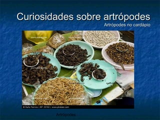 Artrópodes
Curiosidades sobre artrópodesCuriosidades sobre artrópodes
Artrópodes no cardápioArtrópodes no cardápio
 
