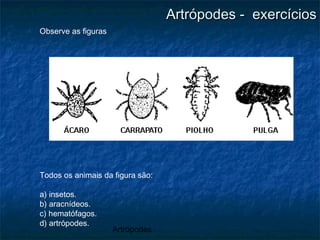Artrópodes
Artrópodes - exercíciosArtrópodes - exercícios
Observe as figuras
Todos os animais da figura são:
a) insetos.
b) aracnídeos.
c) hematófagos.
d) artrópodes.
 