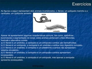 Artrópodes
ExercíciosExercícios
As figuras a seguir representam dois animais invertebrados, o Nereis, um poliqueto marinho e a
centopéia, um quilópode terrestre.
Apesar de apresentarem algumas características comuns, tais como, apêndices
locomotores e segmentação do corpo, estes animais pertencem a filos diferentes.
Assinale a alternativa correta.
a) O Nereis é um anelídeo, a centopéia é um artrópode e ambos são hermafroditas.
b) O Nereis é um artrópode, a centopéia é um anelídeo e ambos tubo digestório completo.
c) O Nereis é um anelídeo, a centopéia é um platelminto e ambos não apresentam
sistema circulatório.
d) O Nereis é um anelídeo, a centopéia é um artrópode e ambos apresentam
exoesqueleto.
e) O Nereis é um anelídeo, a centopéia é um artrópode, mas apenas a centopéia
apresenta exoesqueleto.
 