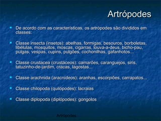 Artrópodes
ArtrópodesArtrópodes
 De acordo com as características, os artrópodes são divididos emDe acordo com as características, os artrópodes são divididos em
classes:classes:
 Classe insecta (insetos): abelhas, formigas, besouros, borboletas,Classe insecta (insetos): abelhas, formigas, besouros, borboletas,
libélulas, mosquitos, moscas, cigarras, louva-a-deus, bicho-pau,libélulas, mosquitos, moscas, cigarras, louva-a-deus, bicho-pau,
pulgas, vespas, cupins, pulgões, cochonilhas, gafanhotos...pulgas, vespas, cupins, pulgões, cochonilhas, gafanhotos...
 Classe crustacea (crustáceos): camarões, caranguejos, siris,Classe crustacea (crustáceos): camarões, caranguejos, siris,
tatuzinho-de-jardim, cracas, lagostas...tatuzinho-de-jardim, cracas, lagostas...
 Classe arachnida (aracnídeos): aranhas, escorpiões, carrapatos...Classe arachnida (aracnídeos): aranhas, escorpiões, carrapatos...
 Classe chilopoda (quilópodes): lacraiasClasse chilopoda (quilópodes): lacraias
 Classe diplopoda (diplópodes): gongolosClasse diplopoda (diplópodes): gongolos
 