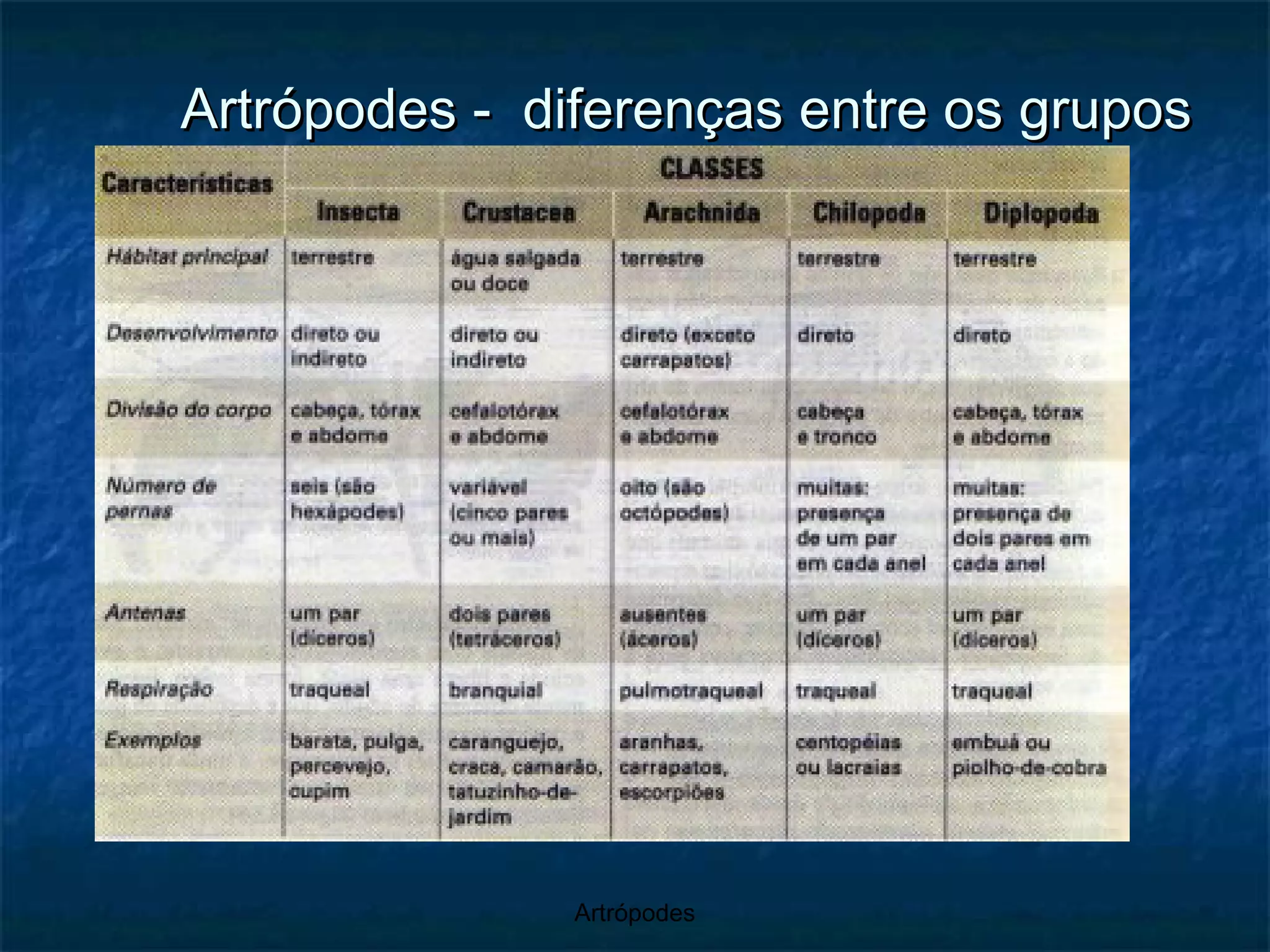 Artrópodes -  diferenças entre os grupos 