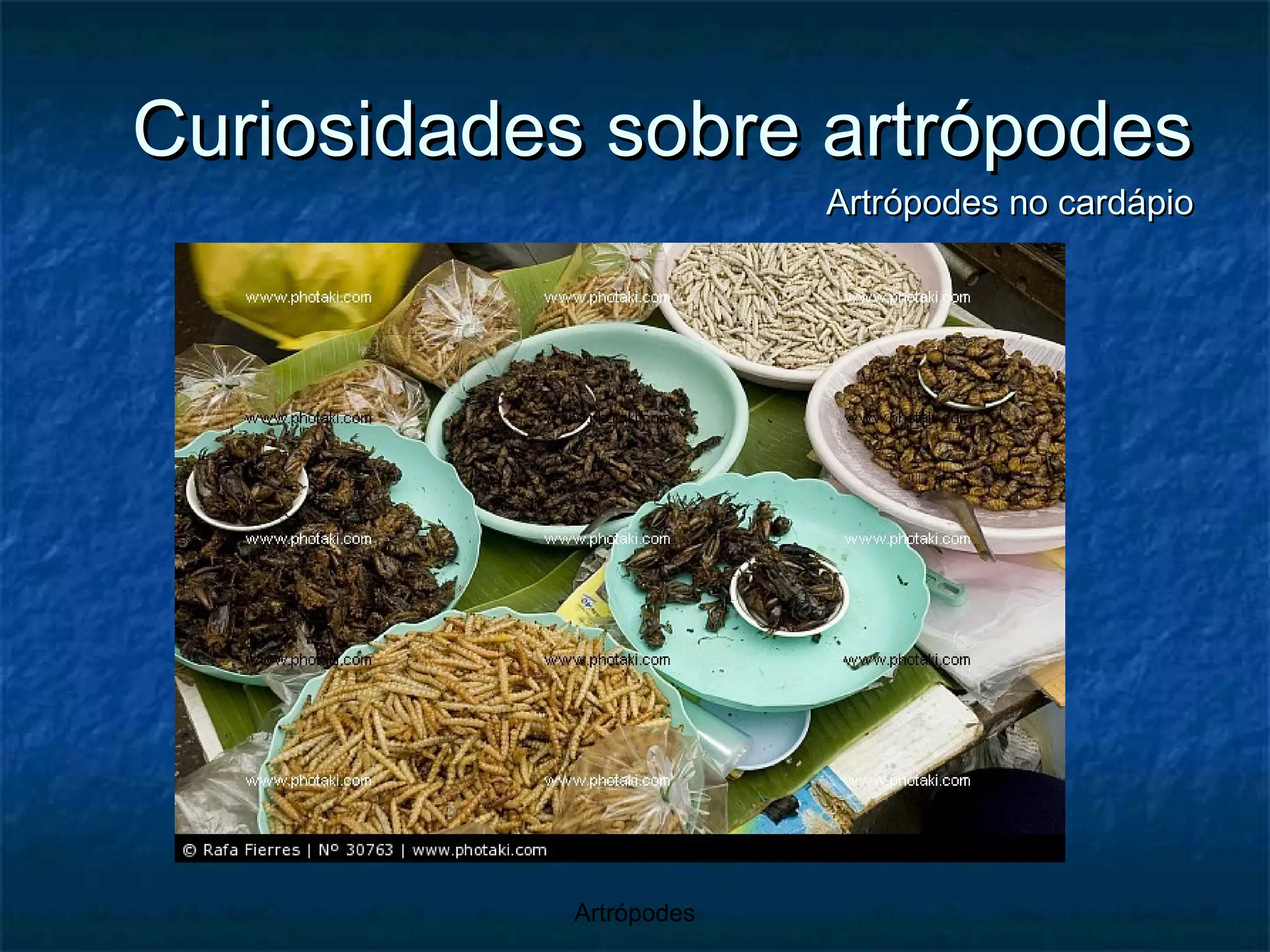 Curiosidades sobre artrópodes Artrópodes no cardápio 