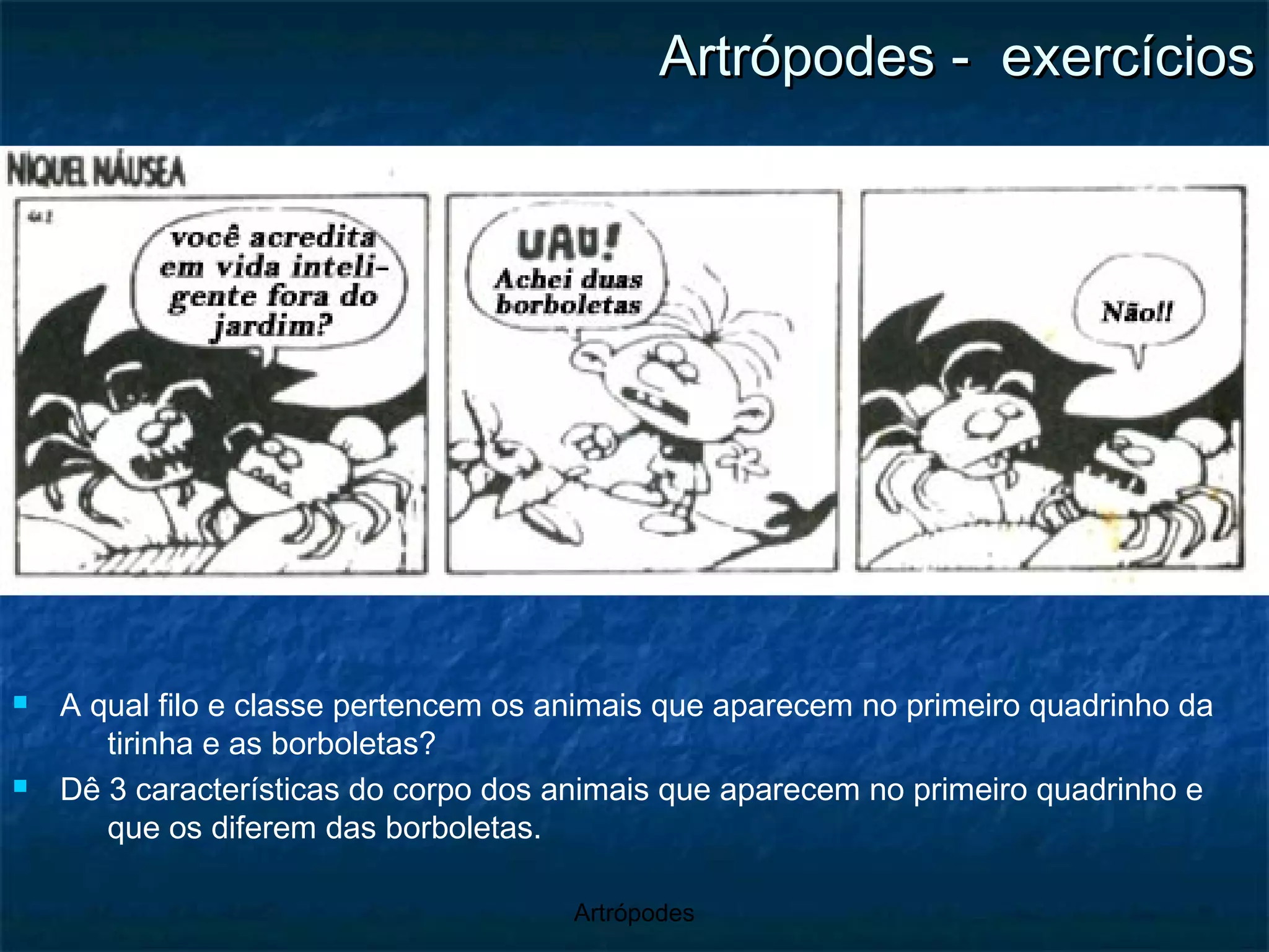 Artrópodes -  exercícios A qual filo e classe pertencem os animais que aparecem no primeiro quadrinho da tirinha e as borboletas? Dê 3 características do corpo dos animais que aparecem no primeiro quadrinho e que os diferem das borboletas. 