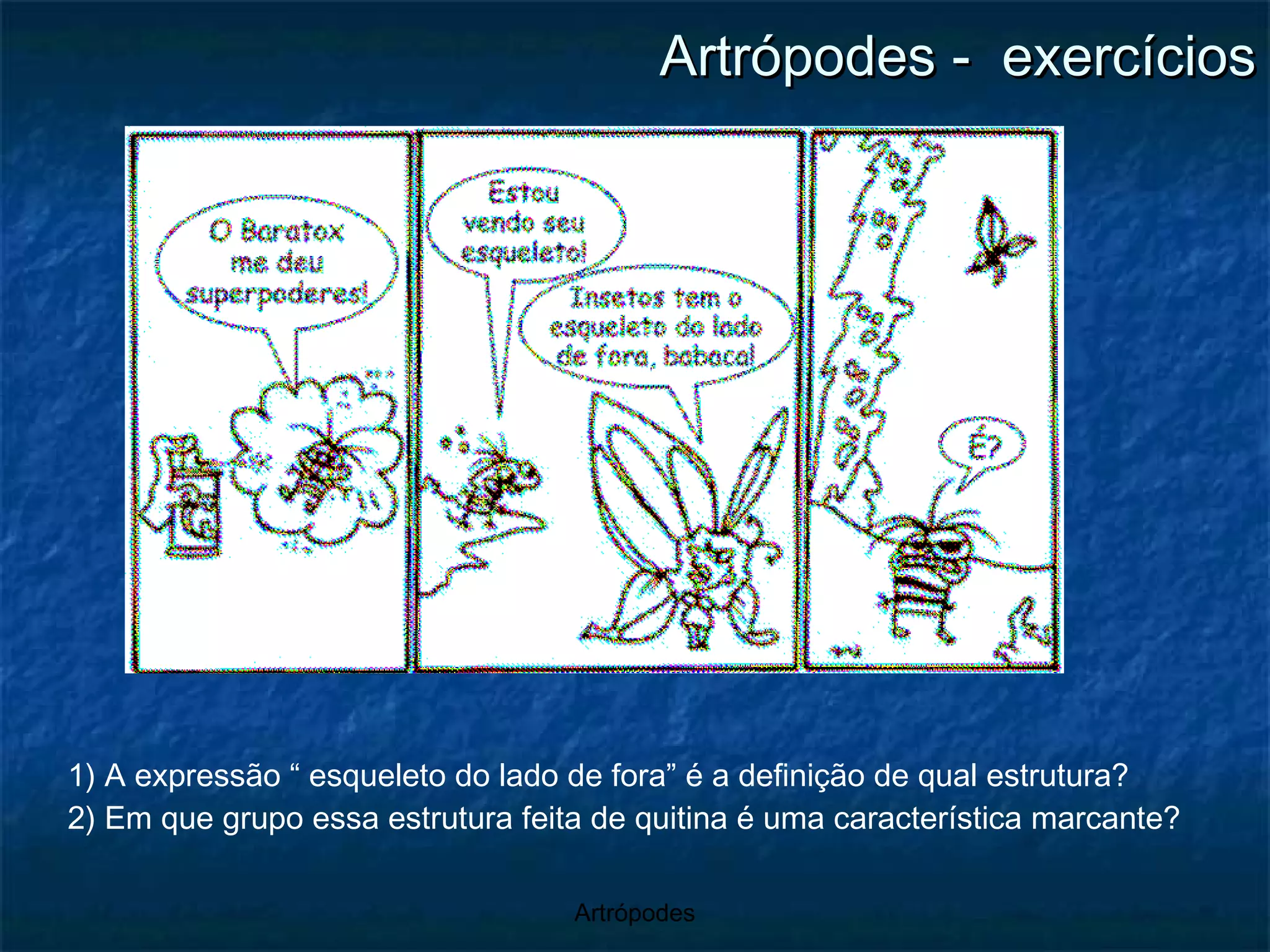 Artrópodes -  exercícios 1) A expressão “ esqueleto do lado de fora” é a definição de qual estrutura? 2) Em que grupo essa estrutura feita de quitina é uma característica marcante? 