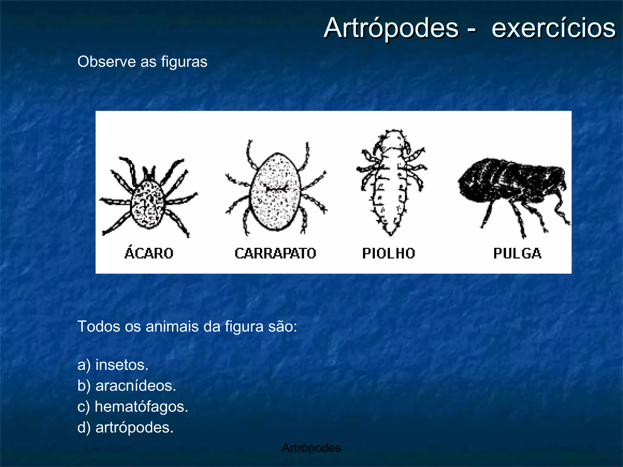 Artrópodes -  exercícios Observe as figuras Todos os animais da figura são: a) insetos. b) aracnídeos. c) hematófagos. d) artrópodes. 