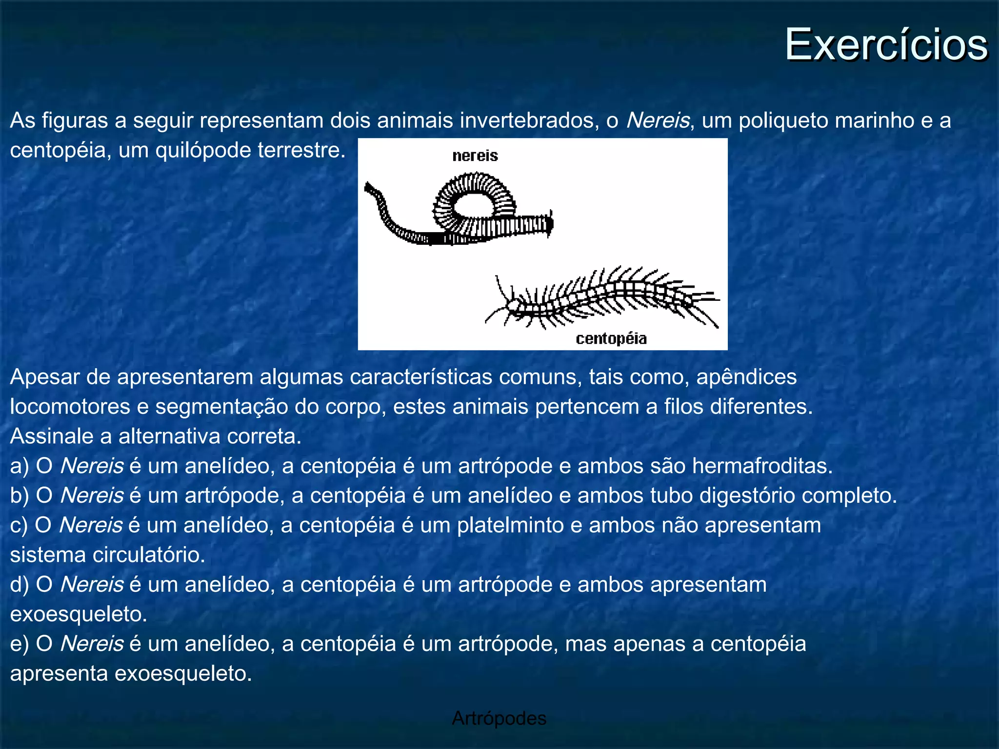 Exercícios As figuras a seguir representam dois animais invertebrados, o  Nereis , um poliqueto marinho e a centopéia, um quilópode terrestre. Apesar de apresentarem algumas características comuns, tais como, apêndices locomotores e segmentação do corpo, estes animais pertencem a filos diferentes. Assinale a alternativa correta. a) O  Nereis  é um anelídeo, a centopéia é um artrópode e ambos são hermafroditas. b) O  Nereis  é um artrópode, a centopéia é um anelídeo e ambos tubo digestório completo. c) O  Nereis  é um anelídeo, a centopéia é um platelminto e ambos não apresentam sistema circulatório. d) O  Nereis  é um anelídeo, a centopéia é um artrópode e ambos apresentam exoesqueleto. e) O  Nereis  é um anelídeo, a centopéia é um artrópode, mas apenas a centopéia apresenta exoesqueleto. 