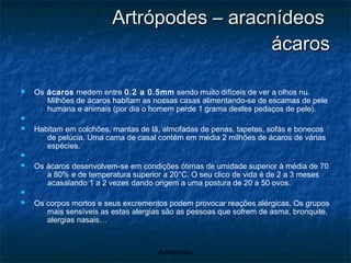 Artrópodes – aracnídeos  ácaros Os  ácaros  medem entre  0.2 a 0.5mm  sendo muito difíceis de ver a olhos nu. Milhões de ácaros habitam as nossas casas alimentando-se de escamas de pele humana e animais (por dia o homem perde 1 grama destes pedaços de pele). Habitam em colchões, mantas de lã, almofadas de penas, tapetes, sofás e bonecos de pelúcia. Uma cama de casal contém em média 2 milhões de ácaros de várias espécies. Os ácaros desenvolvem-se em condições ótimas de umidade superior à média de 70 a 80% e de temperatura superior a 20°C. O seu clico de vida é de 2 a 3 meses acasalando 1 a 2 vezes dando origem a uma postura de 20 a 50 ovos. Os corpos mortos e seus excrementos podem provocar reações alérgicas. Os grupos mais sensíveis as estas alergias são as pessoas que sofrem de asma, bronquite, alergias nasais… 