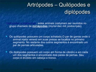 Artrópodes – Quilópodes e diplópodes Quilópodes e diplópodes  : estes animais costumam ser reunidos no grupo chamado de  miriápodes  (myria=dez mil; podos=pés). Os quilópodes possuem um corpo achatado.O par de garras onde o animal injeta veneno em suas presas se localiza no primeiro segmento. No restante dos outros segmentos é encontrado um par de pernas articuladas.  Os diplópodes possuem um corpo em forma de cilindro e em cada um dos segmentos é encontrado dois pares de pernas. Seu corpo é dividido em cabeça e tronco. 