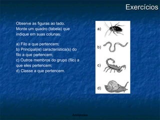 Exercícios Observe as figuras ao lado. Monte um quadro (tabela) que indique em suas colunas: a) Filo a que pertencem; b) Principal(is) característica(s) do filo a que pertencem; c) Outros membros do grupo (filo) a que eles pertencem; d) Classe a que pertencem. 