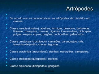 Artrópodes De acordo com as características, os artrópodes são divididos em classes: Classe insecta (insetos): abelhas, formigas, besouros, borboletas, libélulas, mosquitos, moscas, cigarras, louva-a-deus, bicho-pau, pulgas, vespas, cupins, pulgões, cochonilhas, gafanhotos... Classe crustacea (crustáceos): camarões, caranguejos, siris, tatuzinho-de-jardim, cracas, lagostas... Classe arachnida (aracnídeos): aranhas, escorpiões, carrapatos... Classe chilopoda (quilópodes): lacraias Classe diplopoda (diplópodes): gongolos 