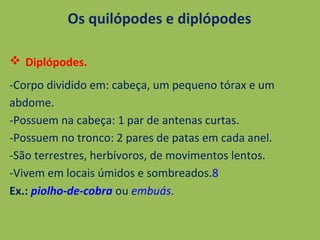 Os quilópodes e diplópodes
 Diplópodes.
-Corpo dividido em: cabeça, um pequeno tórax e um
abdome.
-Possuem na cabeça: 1 par de antenas curtas.
-Possuem no tronco: 2 pares de patas em cada anel.
-São terrestres, herbívoros, de movimentos lentos.
-Vivem em locais úmidos e sombreados.8
Ex.: piolho-de-cobra ou embuás.
 