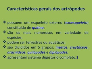  possuem um esqueleto externo (exoesqueleto)
constituído de quitina;
 são os mais numerosos em variedade de
espécies;
 podem ser terrestres ou aquáticos;
 são divididos em 5 grupos: insetos, crustáceos,
aracnídeos, quilópodes e diplópodes;
 apresentam sistema digestório completo.1
Características gerais dos artrópodes
 