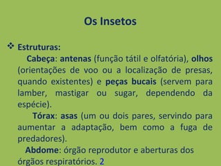  Estruturas:
Cabeça: antenas (função tátil e olfatória), olhos
(orientações de voo ou a localização de presas,
quando existentes) e peças bucais (servem para
lamber, mastigar ou sugar, dependendo da
espécie).
Tórax: asas (um ou dois pares, servindo para
aumentar a adaptação, bem como a fuga de
predadores).
Abdome: órgão reprodutor e aberturas dos
órgãos respiratórios. 2
Os Insetos
 