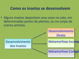 Como os insetos se desenvolvem
• Alguns insetos depositam seus ovos no solo, em
determinadas partes de plantas, ou no corpo de
outros animais.
Desenvolvimento
dos Insetos
Desenvolvimento
dos Insetos
Desenvolvimento
Direto
Desenvolvimento
Direto
Metamorfose IncompMetamorfose Incomp
Metamorfose CompleMetamorfose Comple
 