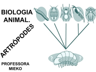 BIOLOGIA ANIMAL. ARTRÓPODES PROFESSORA MIEKO 