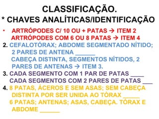 CLASSIFICAÇÃO. * CHAVES ANALÍTICAS/IDENTIFICAÇÃO ARTRÓPODES C/ 10 OU + PATAS    ITEM 2 ARTRÓPODES COM 6 OU 8 PATAS    ITEM 4 2.  CEFALOTÓRAX; ABDOME SEGMENTADO NÍTIDO; 2 PARES DE ANTENA ______ CABEÇA DISTINTA, SEGMENTOS NÍTIDOS, 2 PARES DE ANTENAS    ITEM 3. 3.  CADA SEGMENTO COM 1 PAR DE PATAS ____ CADA SEGMENTOS COM 2 PARES DE PATAS ___ 4.  8 PATAS, ÁCEROS E SEM ASAS; SEM CABEÇA DISTINTA POR SER UNIDA AO TÓRAX _____ 6 PATAS; ANTENAS; ASAS, CABEÇA. TÓRAX E ABDOME ______ 