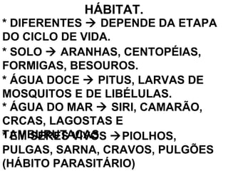 HÁBITAT. * SOLO    ARANHAS, CENTOPÉIAS, FORMIGAS, BESOUROS. * ÁGUA DOCE    PITUS, LARVAS DE MOSQUITOS E DE LIBÉLULAS. * ÁGUA DO MAR    SIRI, CAMARÃO, CRCAS, LAGOSTAS E TAMBURUTACAS * EM SERES VIVOS   PIOLHOS, PULGAS, SARNA, CRAVOS, PULGÕES (HÁBITO PARASITÁRIO) * DIFERENTES    DEPENDE DA ETAPA DO CICLO DE VIDA. 