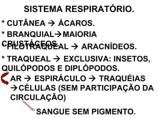SISTEMA RESPIRATÓRIO. * CUTÂNEA    ÁCAROS. * BRANQUIAL  MAIORIA CRUSTÁCEOS. * FILOTRAQUEAL    ARACNÍDEOS. * TRAQUEAL    EXCLUSIVA: INSETOS, QUILÓPODOS E DIPLÓPODOS. AR    ESPIRÁCULO    TRAQUÉIAS   CÉLULAS (SEM PARTICIPAÇÃO DA CIRCULAÇÃO)  SANGUE SEM PIGMENTO. 
