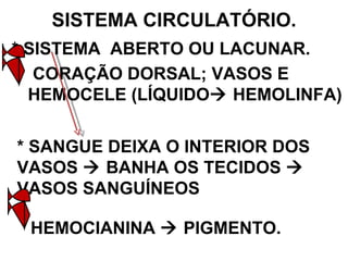 SISTEMA CIRCULATÓRIO. * SISTEMA  ABERTO OU LACUNAR. CORAÇÃO DORSAL; VASOS E HEMOCELE (LÍQUIDO   HEMOLINFA) * SANGUE DEIXA O INTERIOR DOS VASOS    BANHA OS TECIDOS    VASOS SANGUÍNEOS HEMOCIANINA    PIGMENTO. 