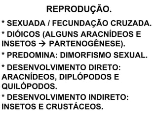 REPRODUÇÃO. * SEXUADA / FECUNDAÇÃO CRUZADA. * DIÓICOS (ALGUNS ARACNÍDEOS E INSETOS    PARTENOGÊNESE). * PREDOMINA: DIMORFISMO SEXUAL. * DESENVOLVIMENTO DIRETO: ARACNÍDEOS, DIPLÓPODOS E QUILÓPODOS. * DESENVOLVIMENTO INDIRETO: INSETOS E CRUSTÁCEOS. 