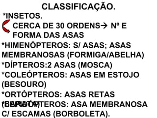 CLASSIFICAÇÃO. *INSETOS. CERCA DE 30 ORDENS   Nº E FORMA DAS ASAS *HIMENÓPTEROS: S/ ASAS; ASAS MEMBRANOSAS (FORMIGA/ABELHA) *DÍPTEROS:2 ASAS (MOSCA) *COLEÓPTEROS: ASAS EM ESTOJO (BESOURO) *ORTÓPTEROS: ASAS RETAS (BARATA) *LEPIDÓPTEROS: ASA MEMBRANOSA C/ ESCAMAS (BORBOLETA). 