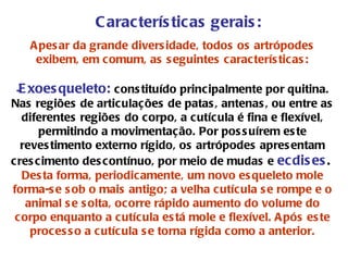 Apesar da grande diversidade, todos os artrópodes exibem, em comum, as seguintes características: Exoesqueleto:  constituído principalmente por quitina. Nas regiões de articulações de patas, antenas, ou entre as diferentes regiões do corpo, a cutícula é fina e flexível, permitindo a movimentação. Por possuírem este revestimento externo rígido, os artrópodes apresentam crescimento descontínuo, por meio de mudas e  ecdises .   Desta forma, periodicamente, um novo esqueleto mole forma-se sob o mais antigo; a velha cutícula se rompe e o animal se solta, ocorre rápido aumento do volume do corpo enquanto a cutícula está mole e flexível. Após este processo a cutícula se torna rígida como a anterior. Características gerais: 