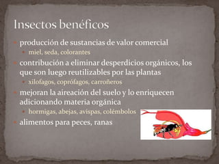  producción de sustancias de valor comercial
 miel, seda, colorantes
 contribución a eliminar desperdicios orgánicos, los

que son luego reutilizables por las plantas
 xilofagos, coprófagos, carroñeros

 mejoran la aireación del suelo y lo enriquecen

adicionando materia orgánica
 hormigas, abejas, avispas, colémbolos

 alimentos para peces, ranas

 