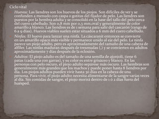 Ciclo vital
 Huevos: Las liendres son los huevos de los piojos. Son difíciles de ver y se
confunden a menudo con caspa o gotitas del fijador de pelo. Las liendres son
puestos por la hembra adulta y se consolidó en la base del tallo del pelo cerca
del cuero cabelludo. Son 0,8 mm por 0,3 mm,oval y generalmente de color
amarillo a blanco. Las liendres es de 1 semana para salir del cascarón (rango de
6 a 9 días). Huevos viables suelen estar situados a 6 mm del cuero cabelludo.
 Ninfas: El huevo para lanzar una ninfa. La cáscaranit entonces se convierte
en un amarillo opaco más visible y permanece unido al eje del pelo. La ninfa
parece un piojo adulto, pero es aproximadamente del tamaño de una cabeza de
alfiler. Las ninfas maduran después de tresmudas (,) y se convierten en adultos
aproximadamente 7 días después de la eclosión.
 Adultos: El piojo adulto es del tamaño de una semilla de ajonjolí, tiene 6
patas (cada una con garras), y su color es entre grisáceo y blanco. En las
personas con pelo oscuro, el piojo adulto sepárese más oscuro. Las hembras son
generalmente más grandes que los machos y puede poner hasta 8 liendres por
día. Los piojos adultos pueden vivir hasta 30 días en la cabeza de una
persona. Para vivir, el piojo adulto necesita alimentarse de la sangre varias veces
al día. Sin comidas de sangre, el piojo morirá dentro de 1 ó 2 días fuera del
huésped.

 