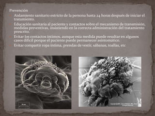 Prevención
 Aislamiento sanitario estricto de la persona hasta 24 horas después de iniciar el
tratamiento.
 Educación sanitaria al paciente y contactos sobre el mecanismo de transmisión,
medidas preventivas, insistiendo en la correcta administración del tratamiento
prescrito.
 Evitar los contactos íntimos, aunque esta medida puede resultar en algunos
casos difícil porque el paciente puede permanecer asintomático.
 Evitar compartir ropa íntima, prendas de vestir, sábanas, toallas, etc

 
