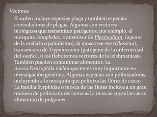 Vectores
 El orden incluye especies plaga y también especies
controladoras de plagas. Algunos son vectores
biológicos que transmiten patógenos, por ejemplo, el
mosquito Anopheles, transmisor de Plasmodium, (agente
de la malaria o paludismo), la mosca tse-tse (Glossina),
transmisora de Trypanosoma (patógeno de la enfermedad
del sueño), o los flebotomos vectores de la leishmaniasis.
También pueden contaminar alimentos. La
mosca Drosophila melanogaster es muy importante en
investigación genética. Algunas especies son polinizadoras,
incluyendo a la mosquita que poliniza las flores de cacao.
La familia Syrphidae o mosca de las flores incluye a un gran
número de polinizadores como así a moscas cuyas larvas se
alimentan de pulgones

 