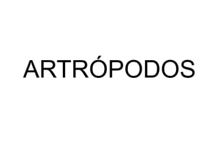 ARTRÓPODOS
 