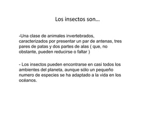 Los insectos son…
-Una clase de animales invertebrados,
caracterizados por presentar un par de antenas, tres
pares de patas y dos partes de alas ( que, no
obstante, pueden reducirse o faltar )
- Los insectos pueden encontrarse en casi todos los
ambientes del planeta, aunque sólo un pequeño
numero de especies se ha adaptado a la vida en los
océanos.
 
