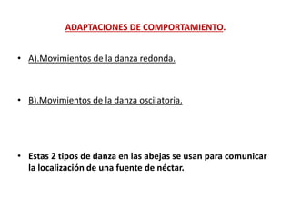 ADAPTACIONES DE COMPORTAMIENTO.
• A).Movimientos de la danza redonda.
• B).Movimientos de la danza oscilatoria.
• Estas 2 tipos de danza en las abejas se usan para comunicar
la localización de una fuente de néctar.
 