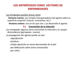 LOS ARTRÓPODOS COMO VECTORES DE
ENFERMEDADES
Los artrópodos pueden actuar como:
Vectores inertes: son simples transportadores del agente sobre su
superficie corporal ( moscas, cucarachas, etc.)
Vectores activos: son en los que vive y se desarrolla el agente.
A.) Transmisión de la infección
Los artrópodos algunas veces transmiten la infección a la propia
descendencia (garrapatas , ácaros).
La propagación del agente puede ser por:
-regurgitación
-picadura
-simple aposición en zonas descamadas de la piel
-por defecación sobre zonas erosionadas
-por saliva
 