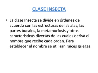 CLASE INSECTA
• La clase Insecta se divide en órdenes de
acuerdo con las estructuras de las alas, las
partes bucales, la metamorfosis y otras
características diversas de las cuales deriva el
nombre que recibe cada orden. Para
establecer el nombre se utilizan raíces griegas.
 