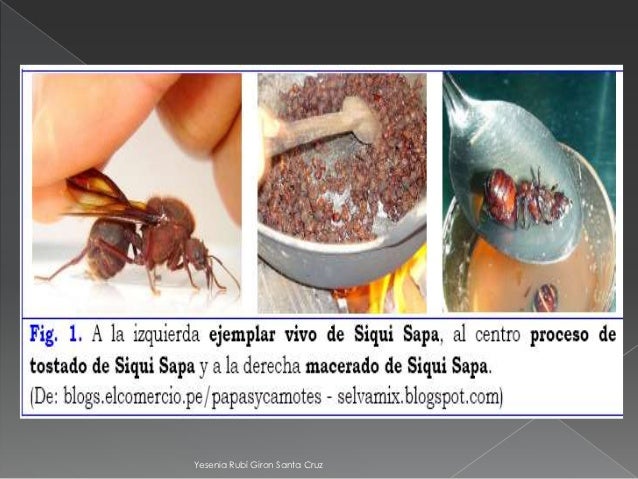 El hongo en el intestino como curar