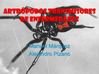 Artrópodos transmisores
    de enfermedades



      Manuel Márquez
      Alejandro Pizano
 