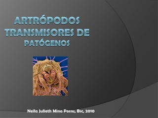 Artrópodos Transmisores de patógenos NeilaJulieth Mina Possu, Bsc, 2010 