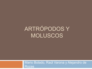 ARTRÓPODOS Y
MOLUSCOS
Mario Bolado, Raúl Varona y Alejandro de
Rozas
 