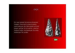 CAÇA




Per caçar animals terrestres els paraven
trampes i feien servir armes de pedra
construïdes per ells. Dels animals extreien
aliment, pell per fer-se vestits i construir
tendes,el ossos i les banyes per fer eines,
tendons per fer cordes…




                                               Esquema
 