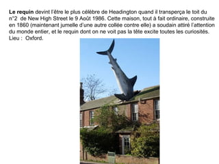 Le requin devint l’être le plus célèbre de Headington quand il transperça le toit du
n°2 de New High Street le 9 Août 1986. Cette maison, tout à fait ordinaire, construite
en 1860 (maintenant jumelle d’une autre collée contre elle) a soudain attiré l’attention
du monde entier, et le requin dont on ne voit pas la tête excite toutes les curiosités.
Lieu : Oxford.
 