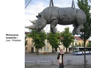 Rhinocéros
suspendu :
Lieu : Potsdam
 